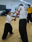 Picture 013